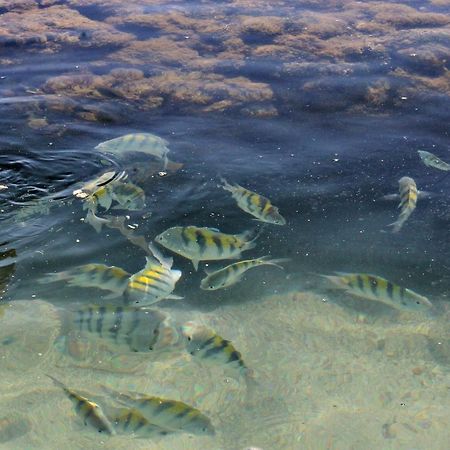 Pousada Casanossa Boipeba Island エクステリア 写真