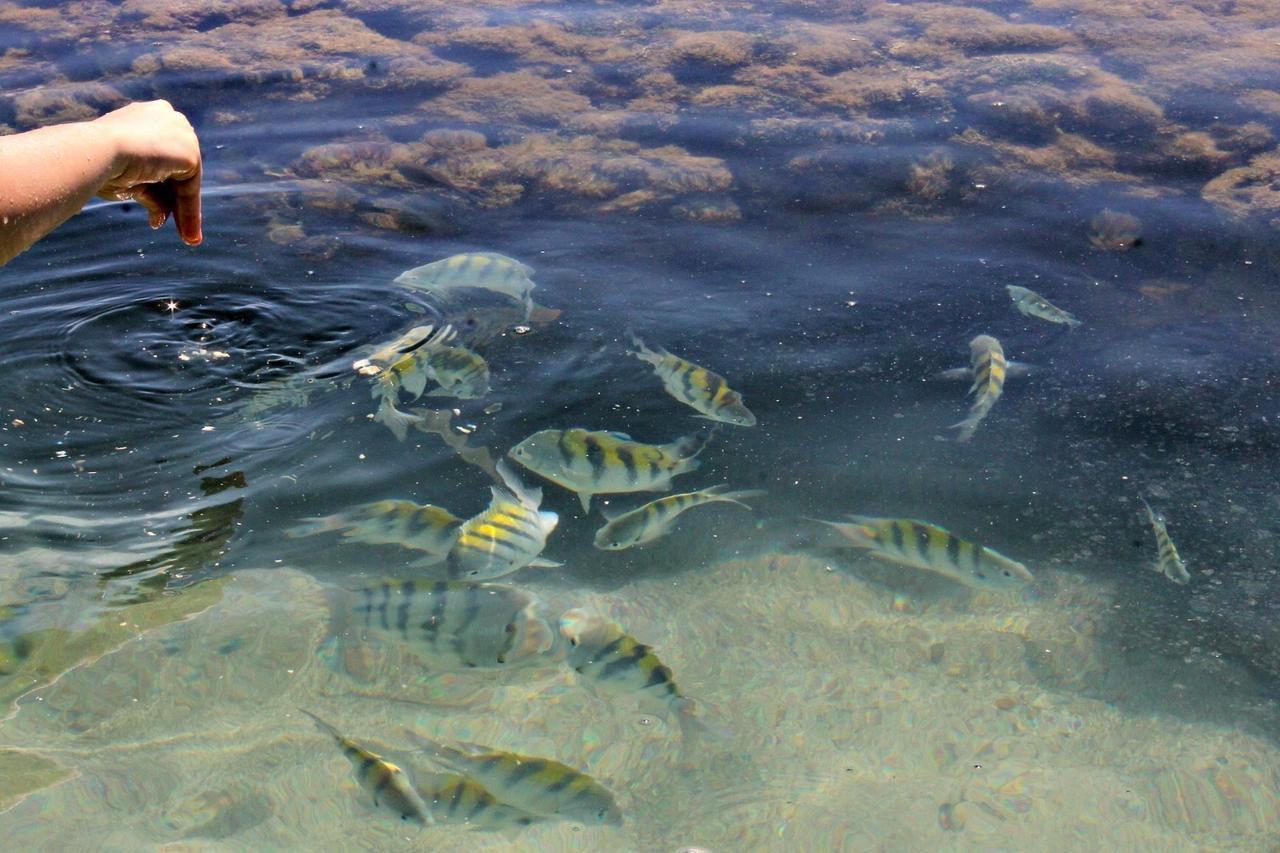 Pousada Casanossa Boipeba Island エクステリア 写真