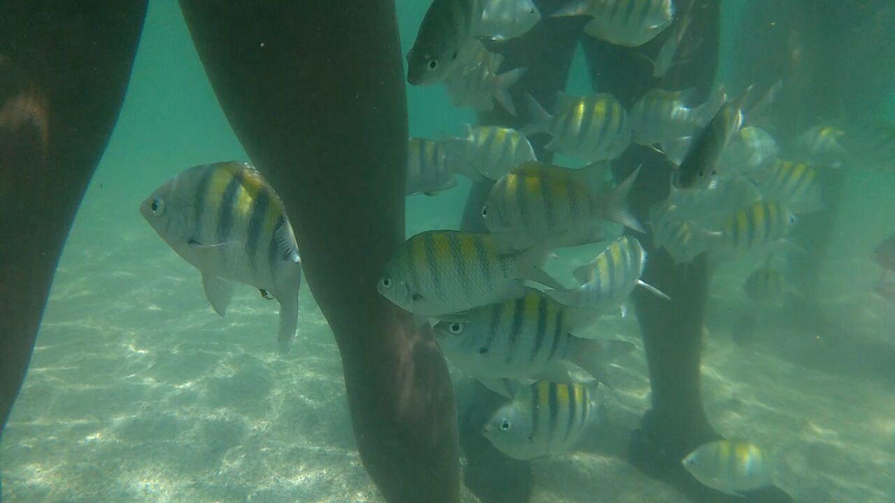 Pousada Casanossa Boipeba Island エクステリア 写真
